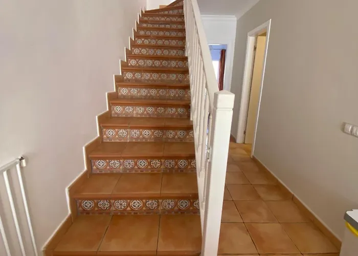 60 El Sultan, 20 Pedroy Guy Vandaele * 코라레호